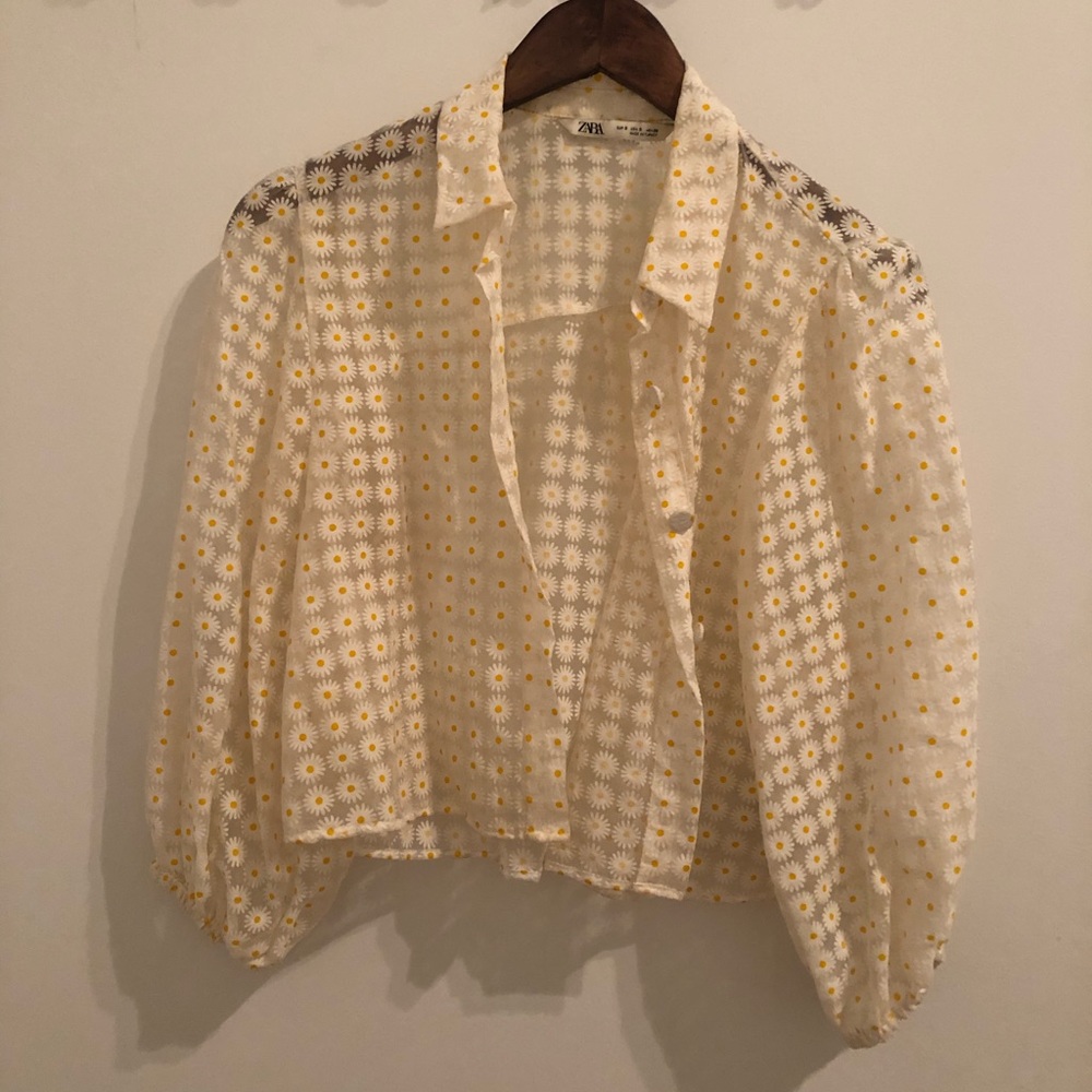 Zara sheer crop bubble sleeves